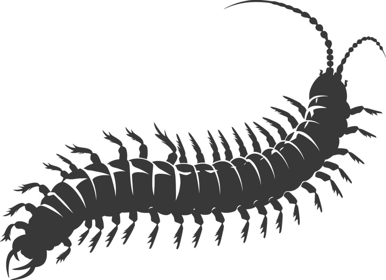 AI generated Silhouette centipede Insect animal black color only vector