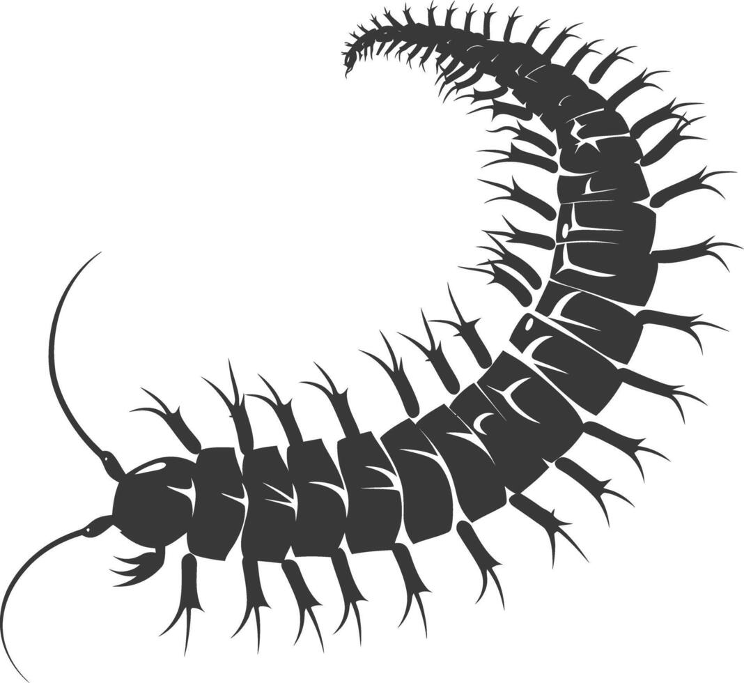 AI generated Silhouette centipede Insect animal black color only vector