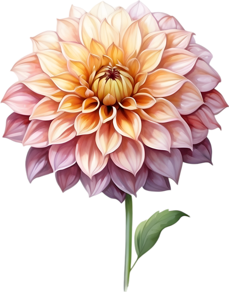 AI generated Watercolor painting of a Pompon Dahlia flower. png