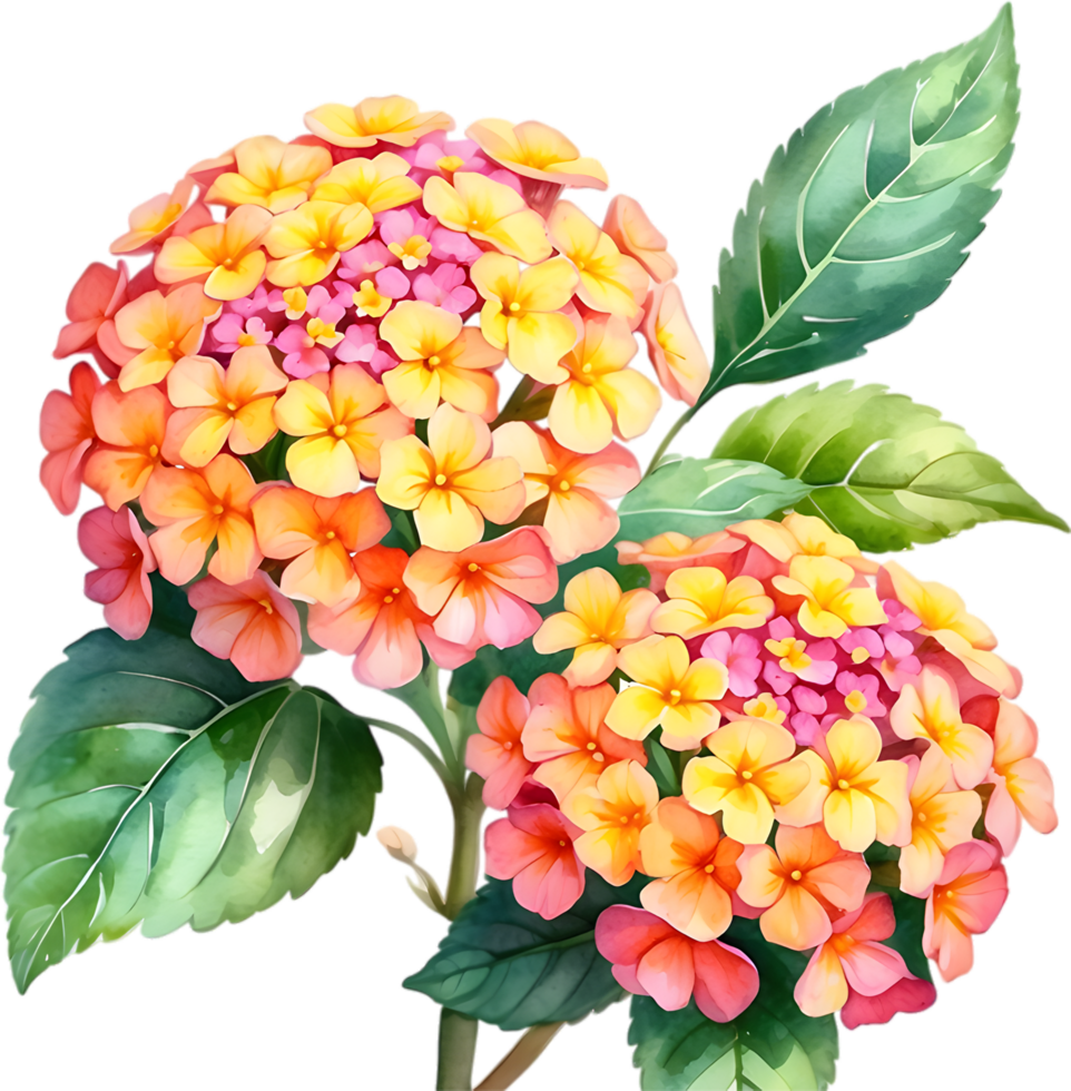 AI generated Watercolor painting of a Lantana flower. png