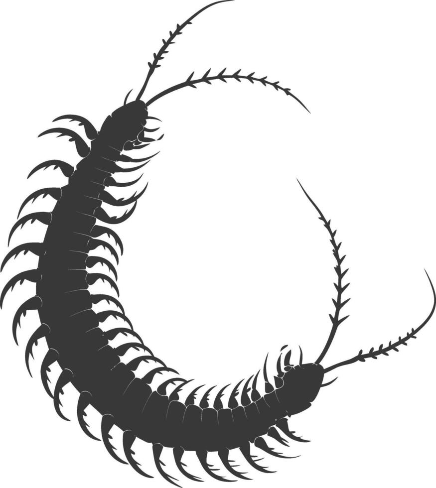 AI generated Silhouette centipede Insect animal black color only vector