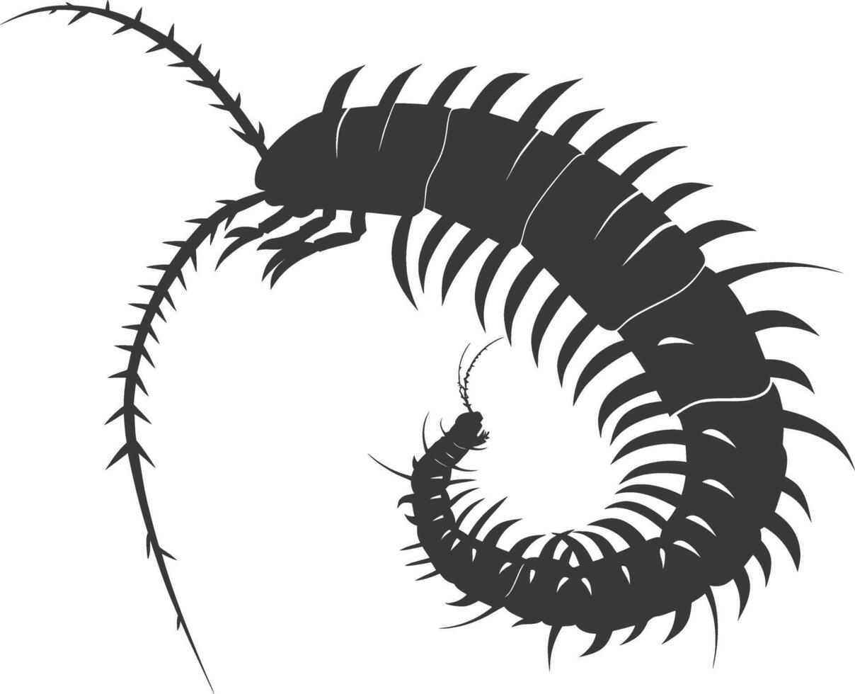 AI generated Silhouette centipede Insect animal black color only vector
