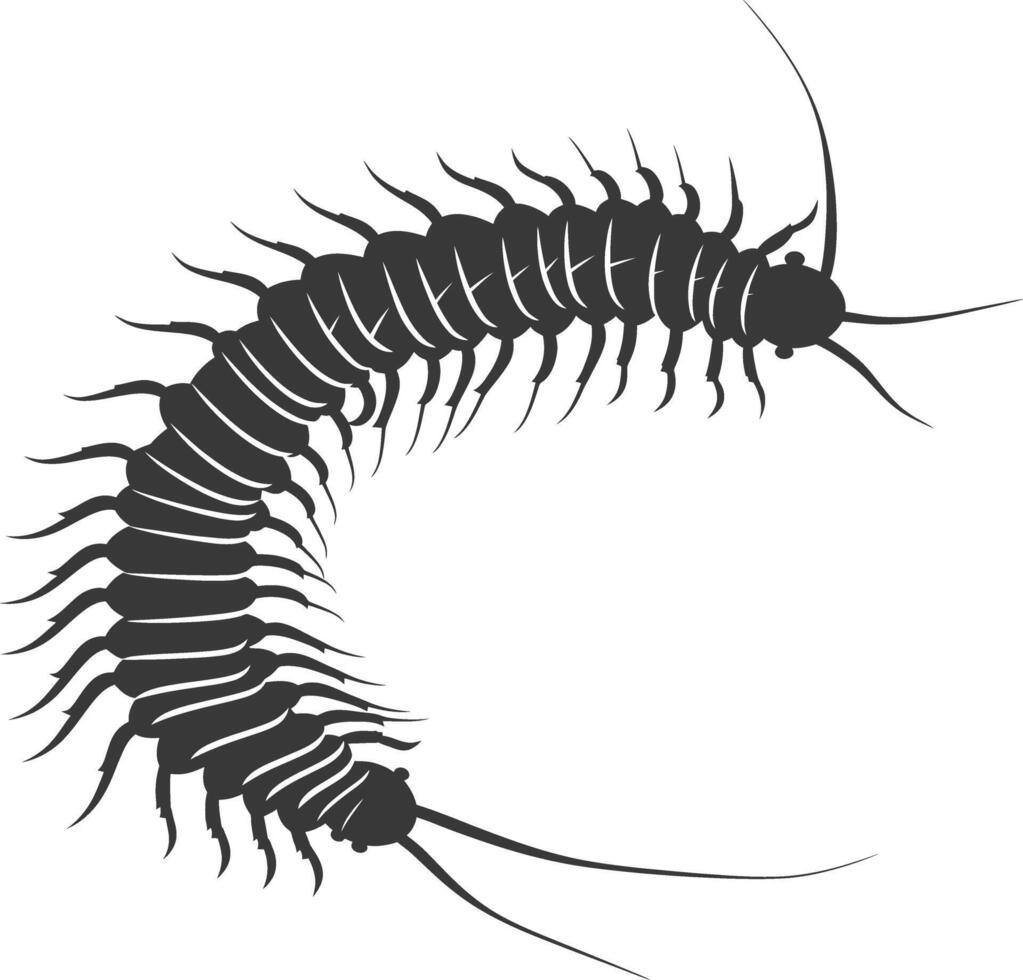 AI generated Silhouette centipede Insect animal black color only vector