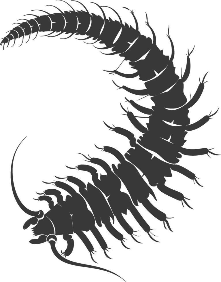 AI generated Silhouette centipede Insect animal black color only vector