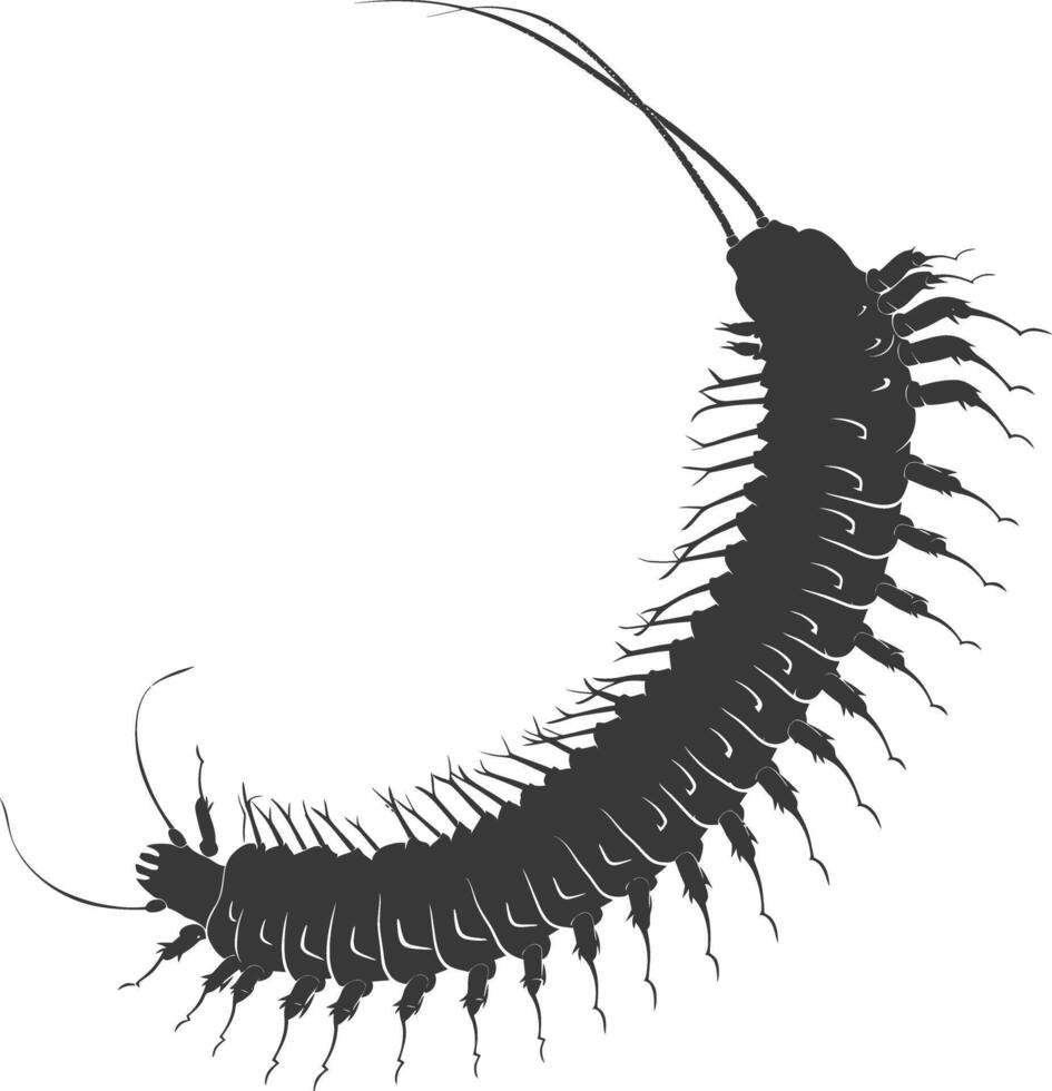 AI generated Silhouette centipede Insect animal black color only vector