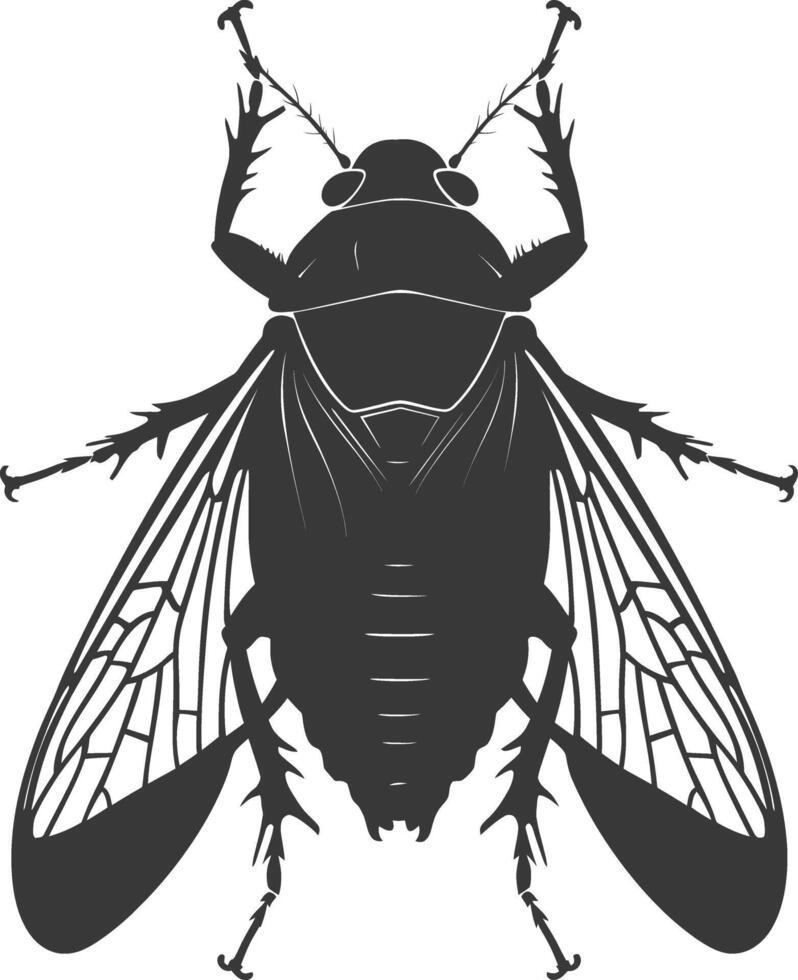 AI generated Silhouette cicada Insect animal black color only vector