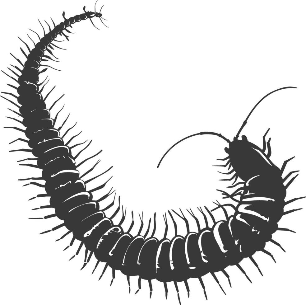 AI generated Silhouette centipede Insect animal black color only vector