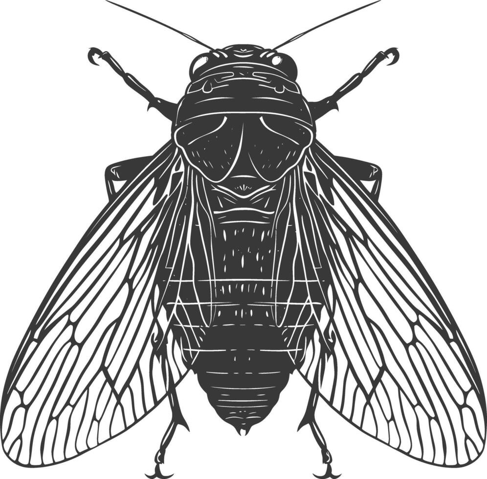 AI generated Silhouette cicada Insect animal black color only vector