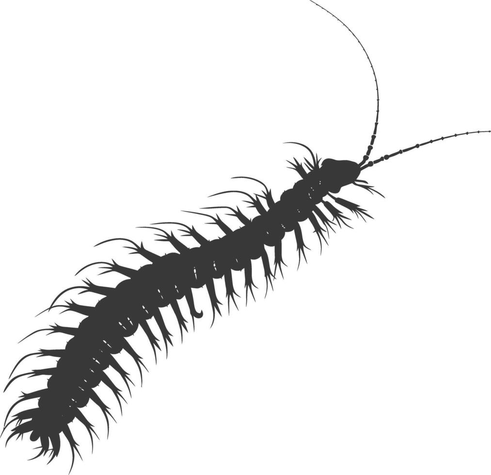 AI generated Silhouette centipede Insect animal black color only vector