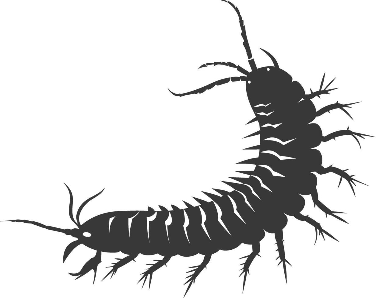 AI generated Silhouette centipede Insect animal black color only vector