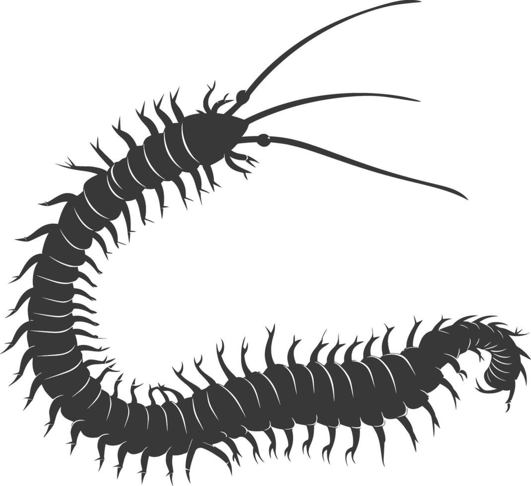 AI generated Silhouette centipede Insect animal black color only vector