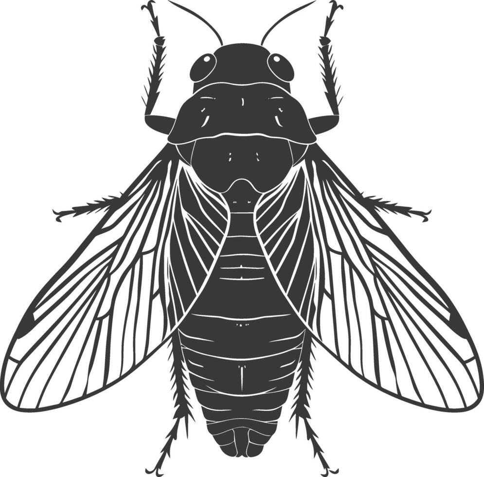 AI generated Silhouette cicada Insect animal black color only vector