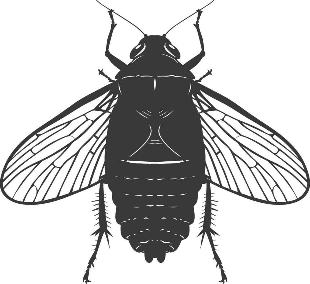 AI generated Silhouette cicada Insect animal black color only vector