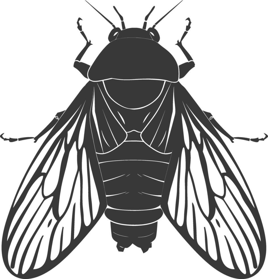 AI generated Silhouette cicada Insect animal black color only vector