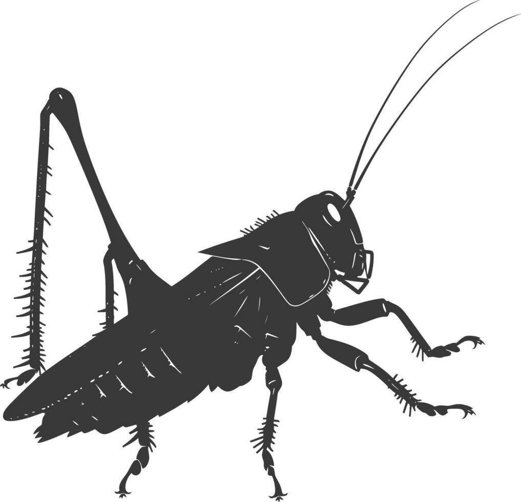 AI generated Silhouette Cricket Insect animal black color only vector