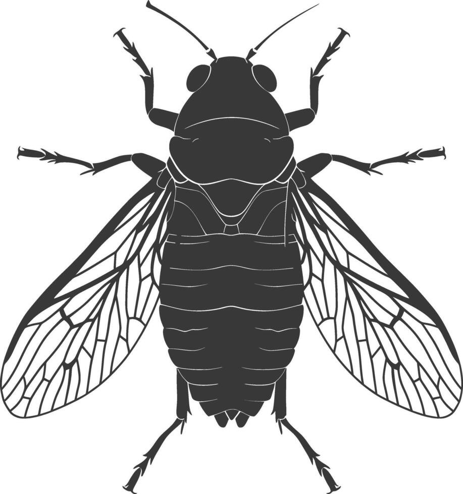 AI generated Silhouette cicada Insect animal black color only vector