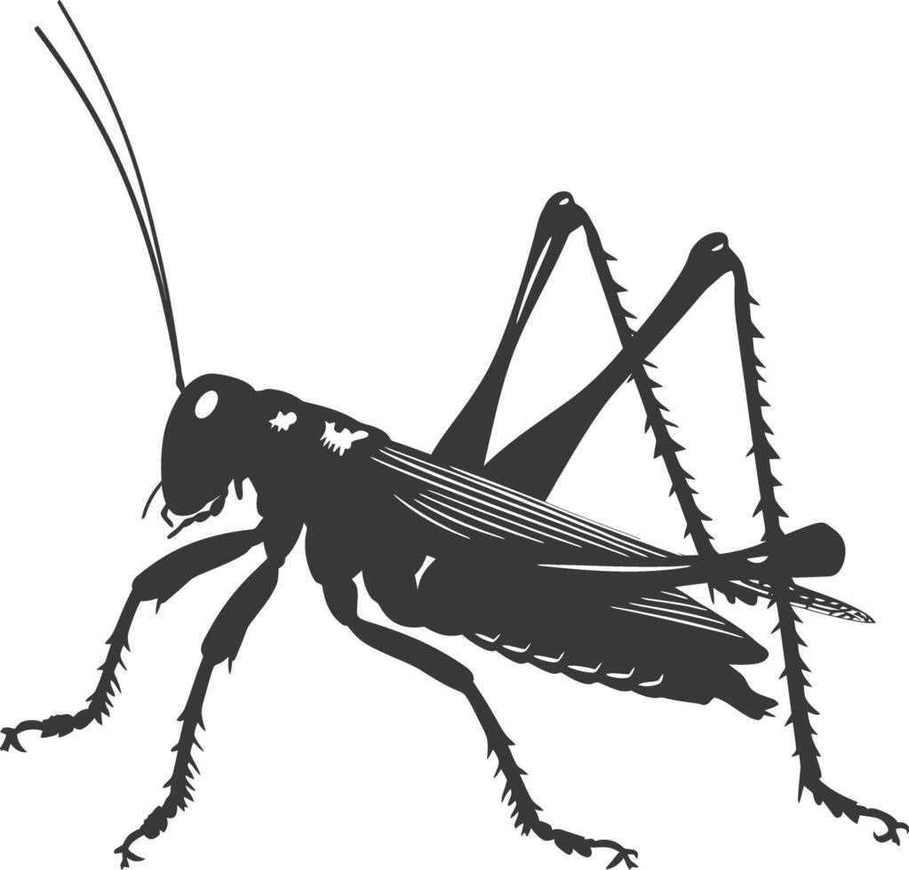 ai generado silueta Grillo insecto animal negro color solamente vector