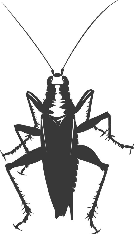 AI generated Silhouette Cricket Insect animal black color only vector