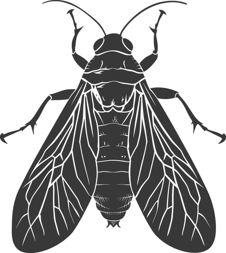 AI generated Silhouette cicada Insect animal black color only vector