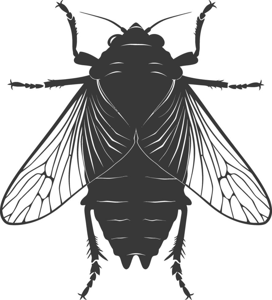 ai generado silueta cigarra insecto animal negro color solamente vector