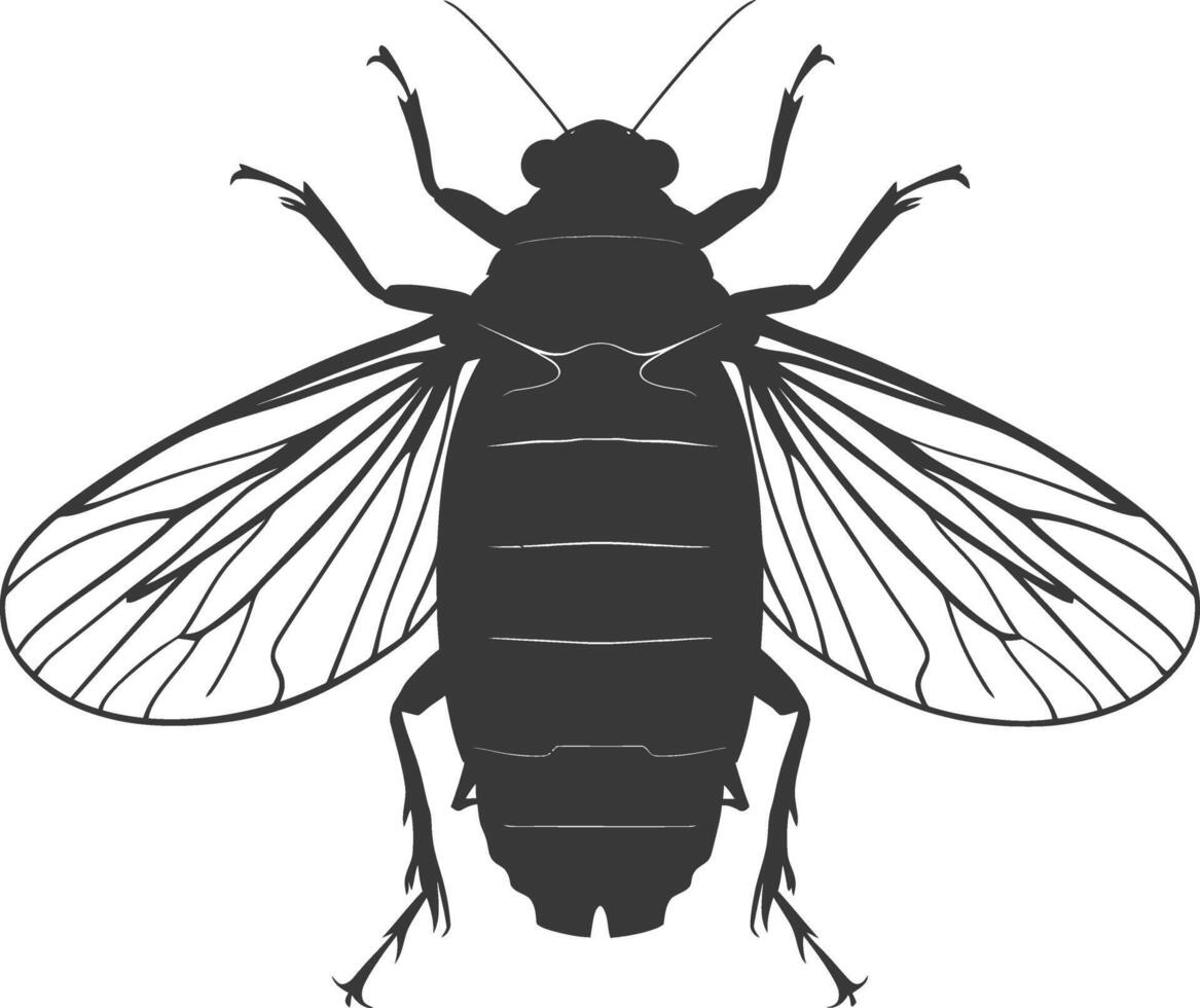 AI generated Silhouette cicada Insect animal black color only vector