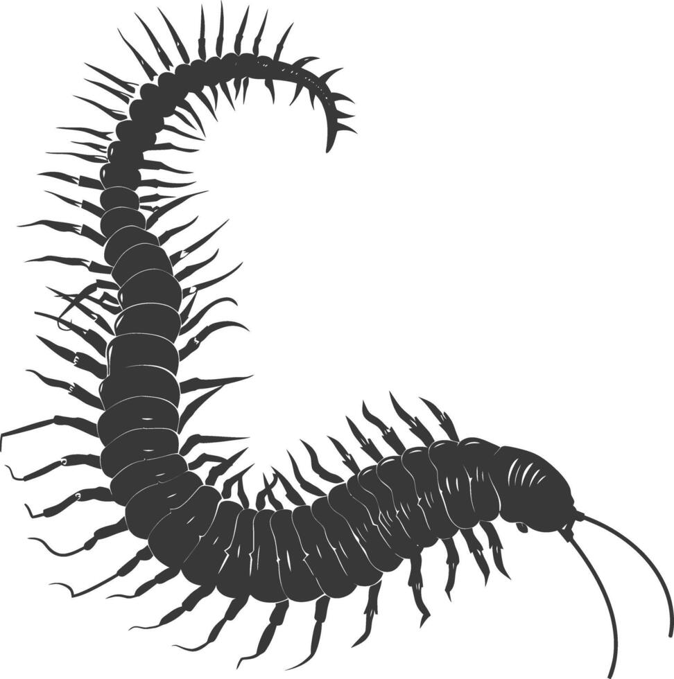 AI generated Silhouette centipede Insect animal black color only vector