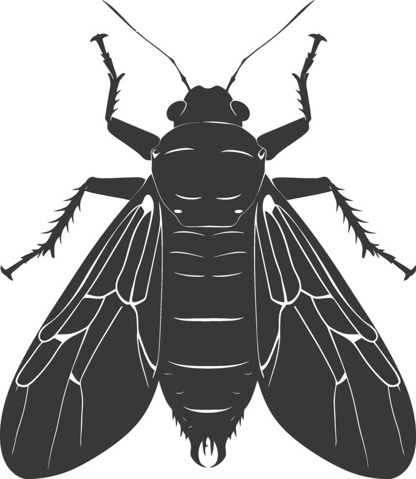 AI generated Silhouette cicada Insect animal black color only vector