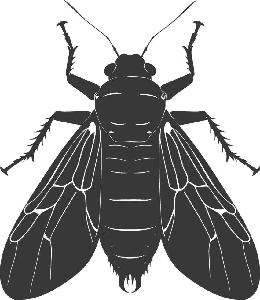 ai generado silueta cigarra insecto animal negro color solamente vector