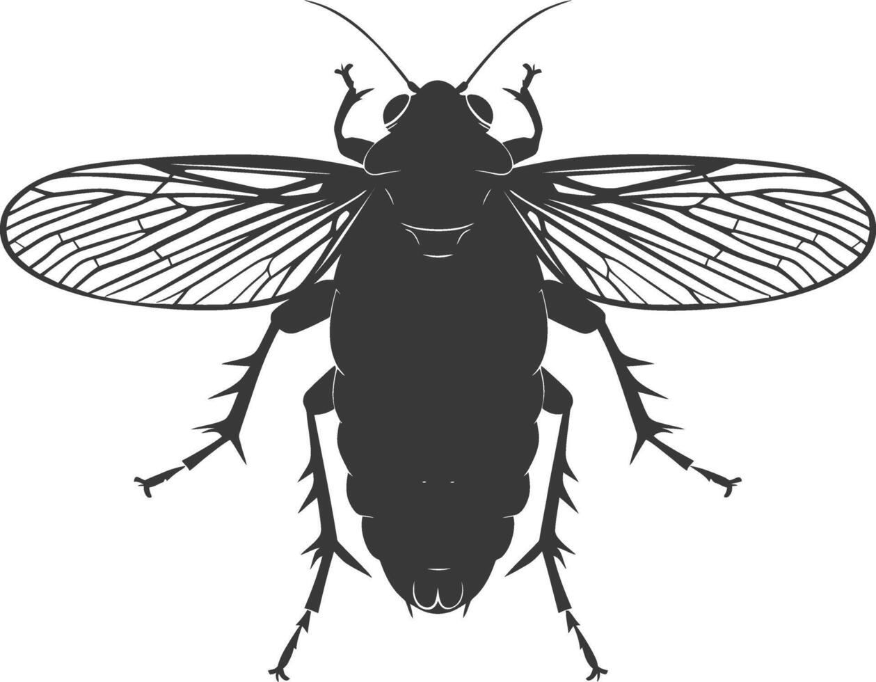 AI generated Silhouette cicada Insect animal black color only vector