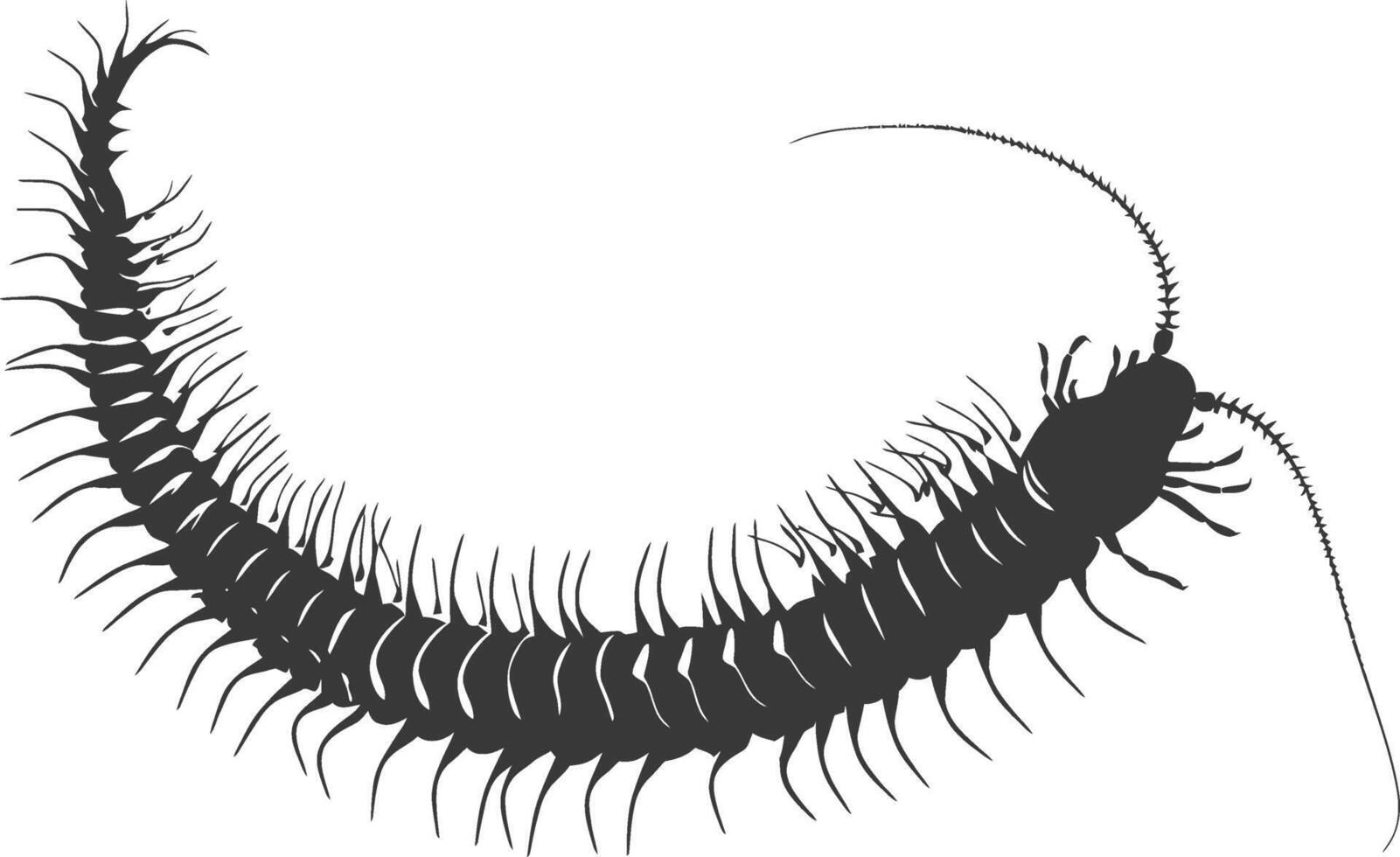 AI generated Silhouette centipede Insect animal black color only vector