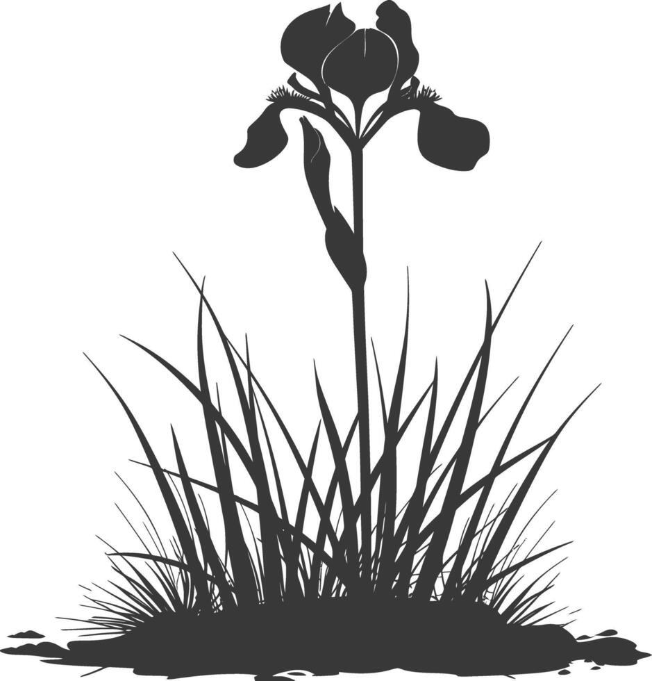 AI generated Silhouette iris flower in the ground black color only vector