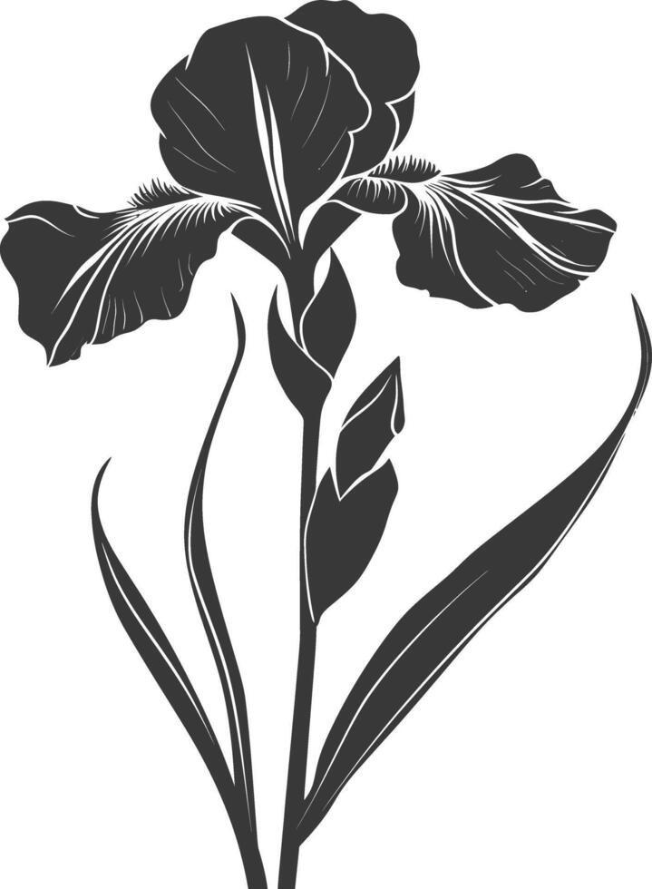 AI generated Silhouette iris flower black color only vector