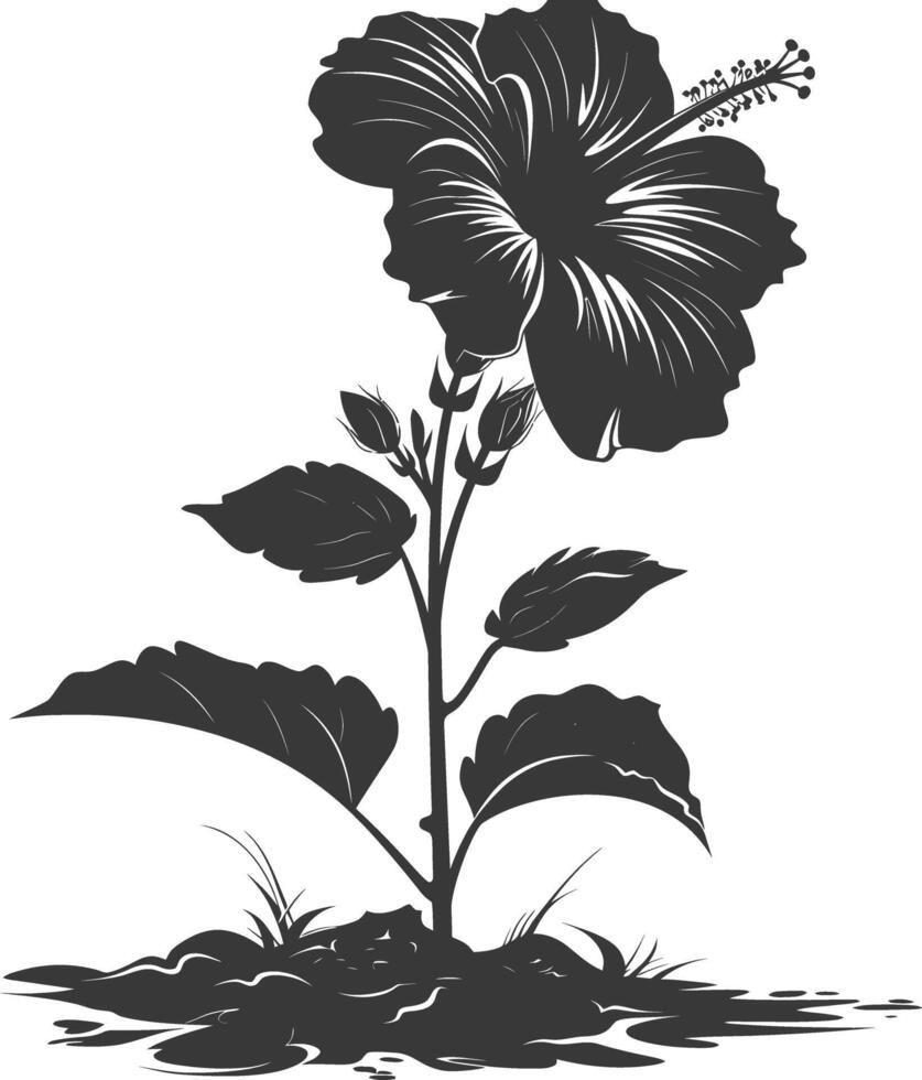 AI generated Silhouette hibiscus flower in the ground black color only vector