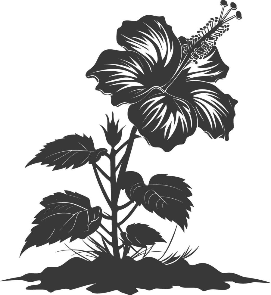 AI generated Silhouette hibiscus flower in the ground black color only vector