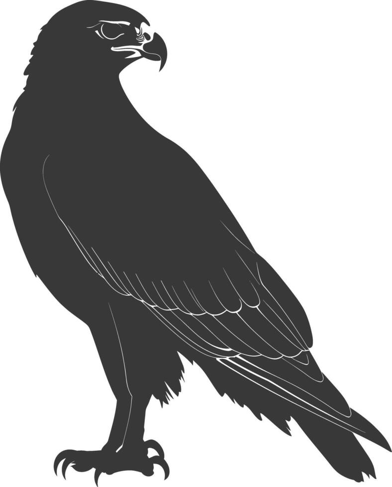 AI generated Silhouette hawk animal black color only full body vector