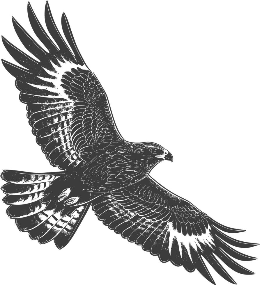AI generated Silhouette hawk animal fly black color only full body vector
