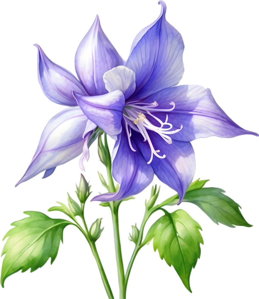 AI generated Watercolor painting of Creeping bellflower flower. png
