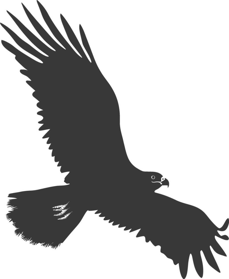 AI generated Silhouette hawk animal fly black color only full body vector