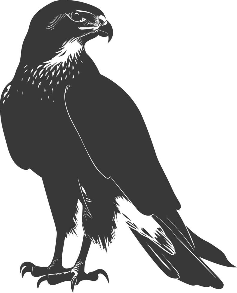 AI generated Silhouette hawk animal black color only full body vector