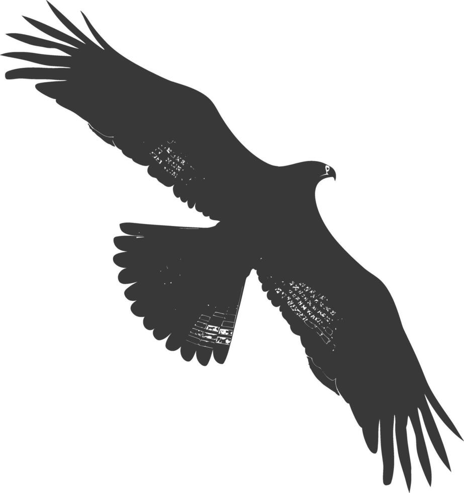 AI generated Silhouette hawk animal fly black color only full body vector