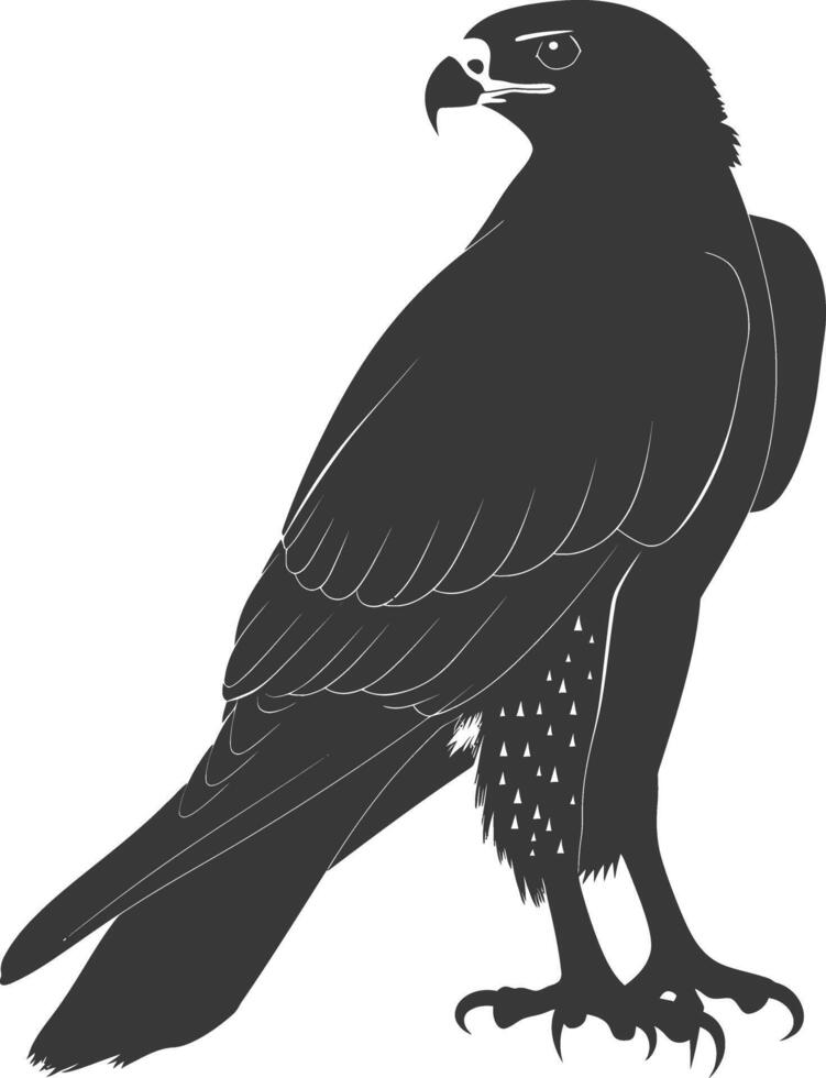 AI generated Silhouette hawk animal black color only full body vector
