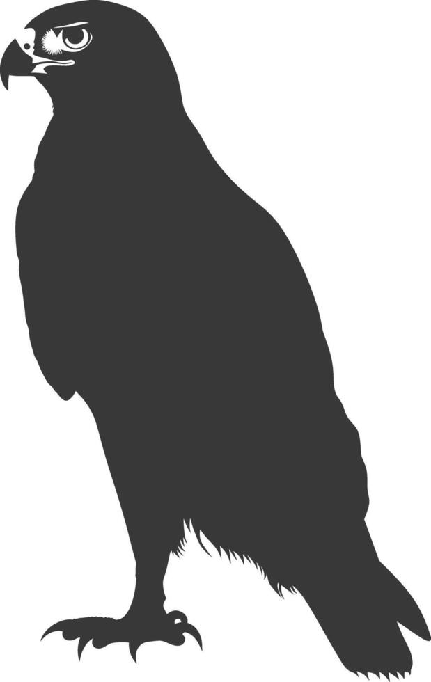 AI generated Silhouette hawk animal black color only full body vector