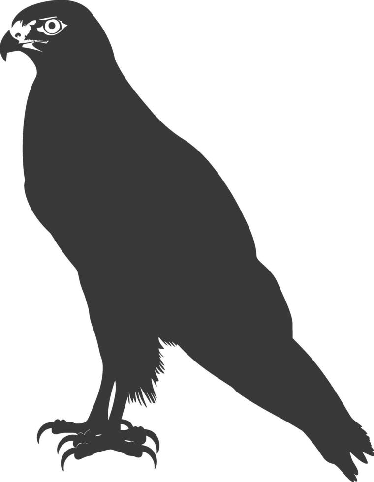 AI generated Silhouette hawk animal black color only full body vector