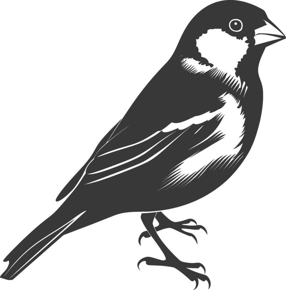 AI generated Silhouette House sparrow bird animal black color only vector