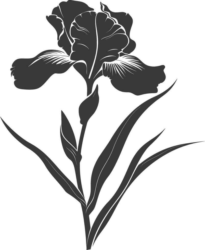 AI generated Silhouette iris flower black color only vector