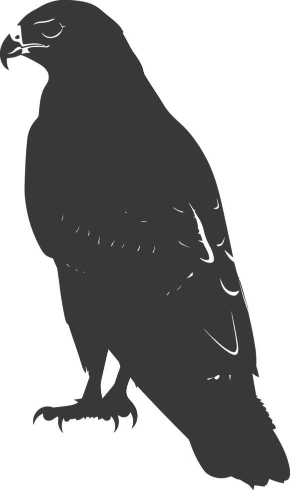 AI generated Silhouette hawk animal black color only full body vector