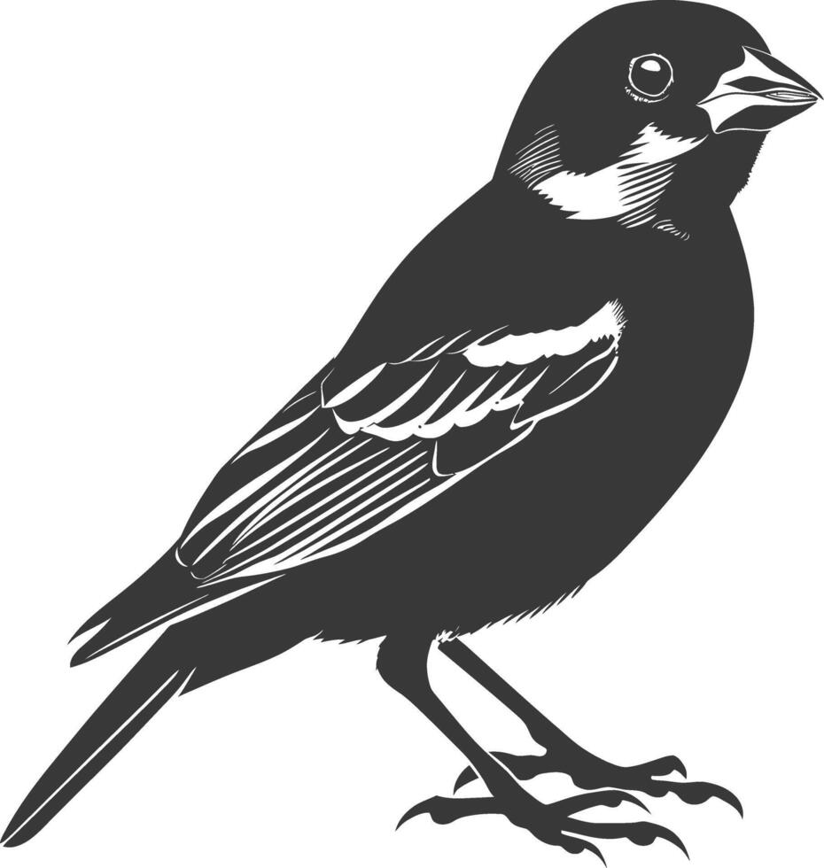 AI generated Silhouette House sparrow bird animal black color only vector