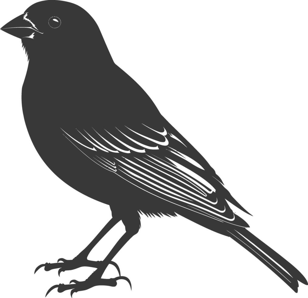 AI generated Silhouette House sparrow bird animal black color only vector