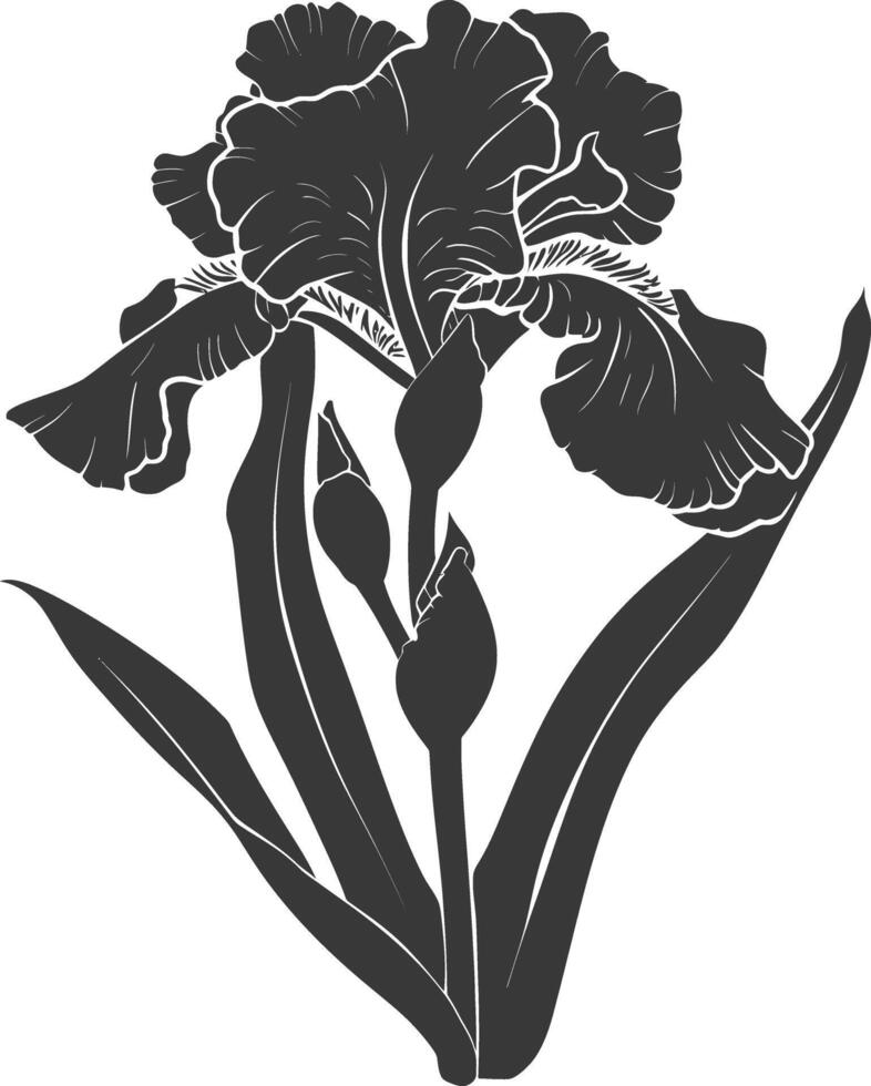 AI generated Silhouette iris flower black color only vector