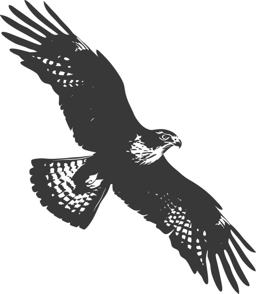 AI generated Silhouette hawk animal fly black color only full body vector